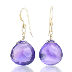 Amethyst Earrings with Gold Filled Earwires