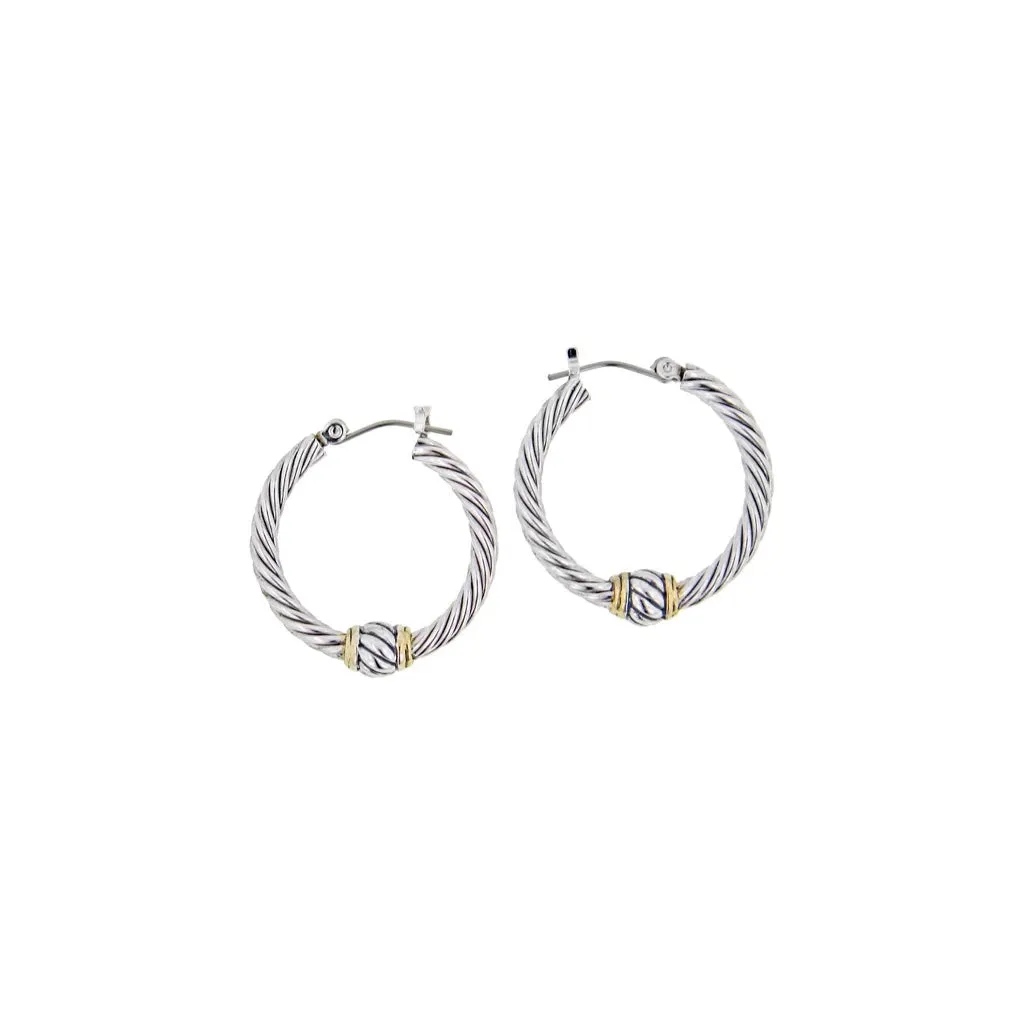 Oval Link Small Twisted Wire Hoop Earrings