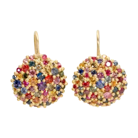 Rainbow River Hook Earrings - 11224