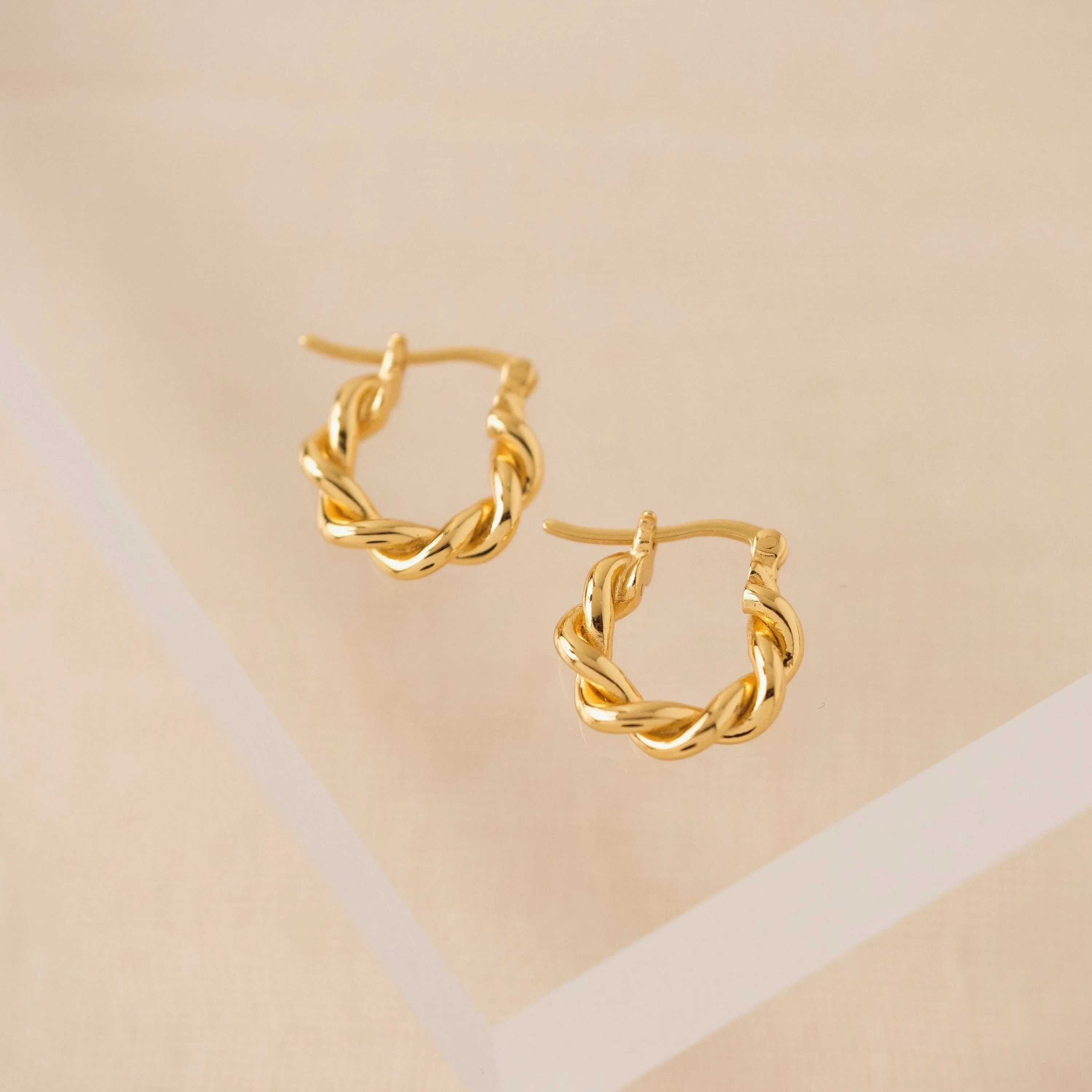 Twist Hinge Hoop Earrings