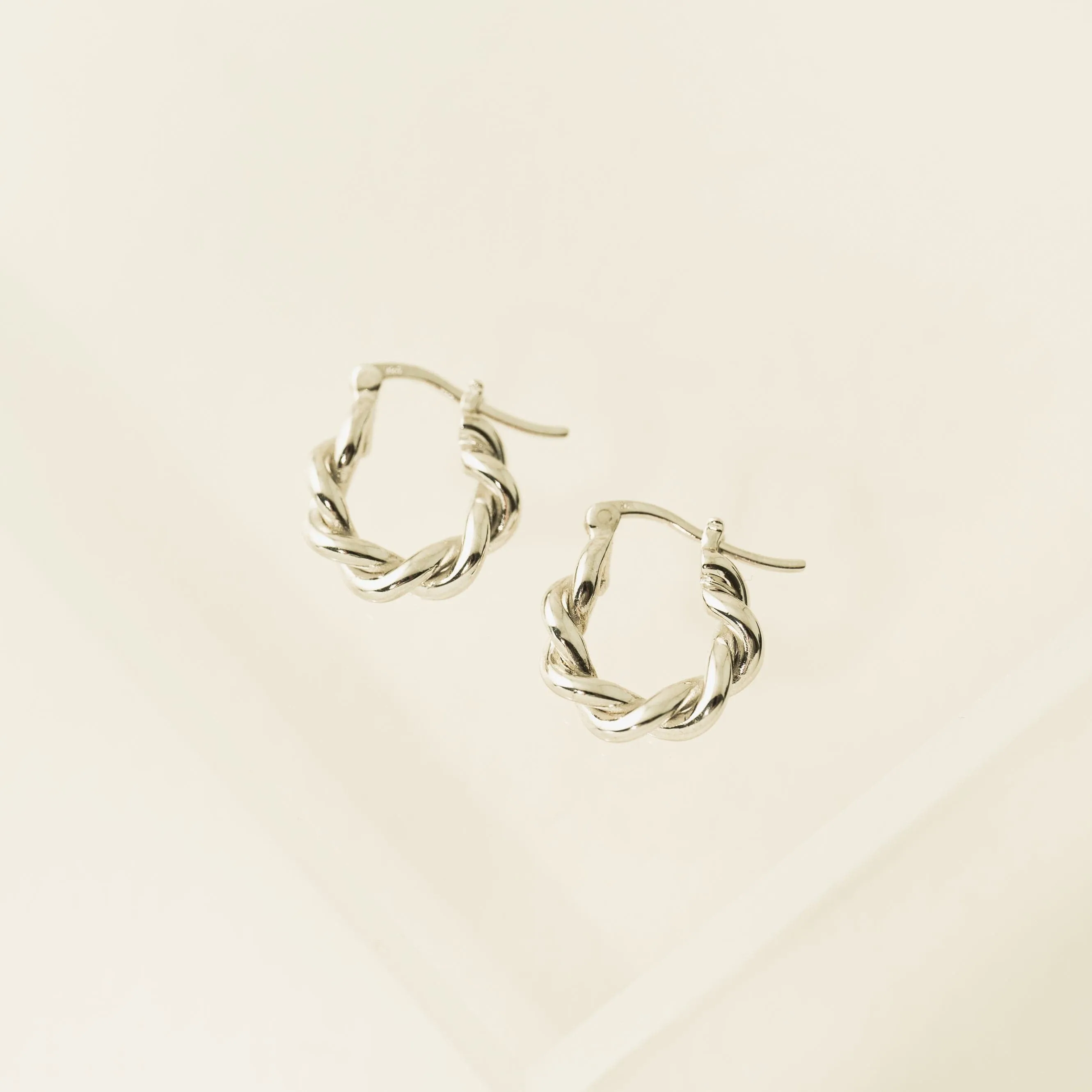 Twist Hinge Hoop Earrings