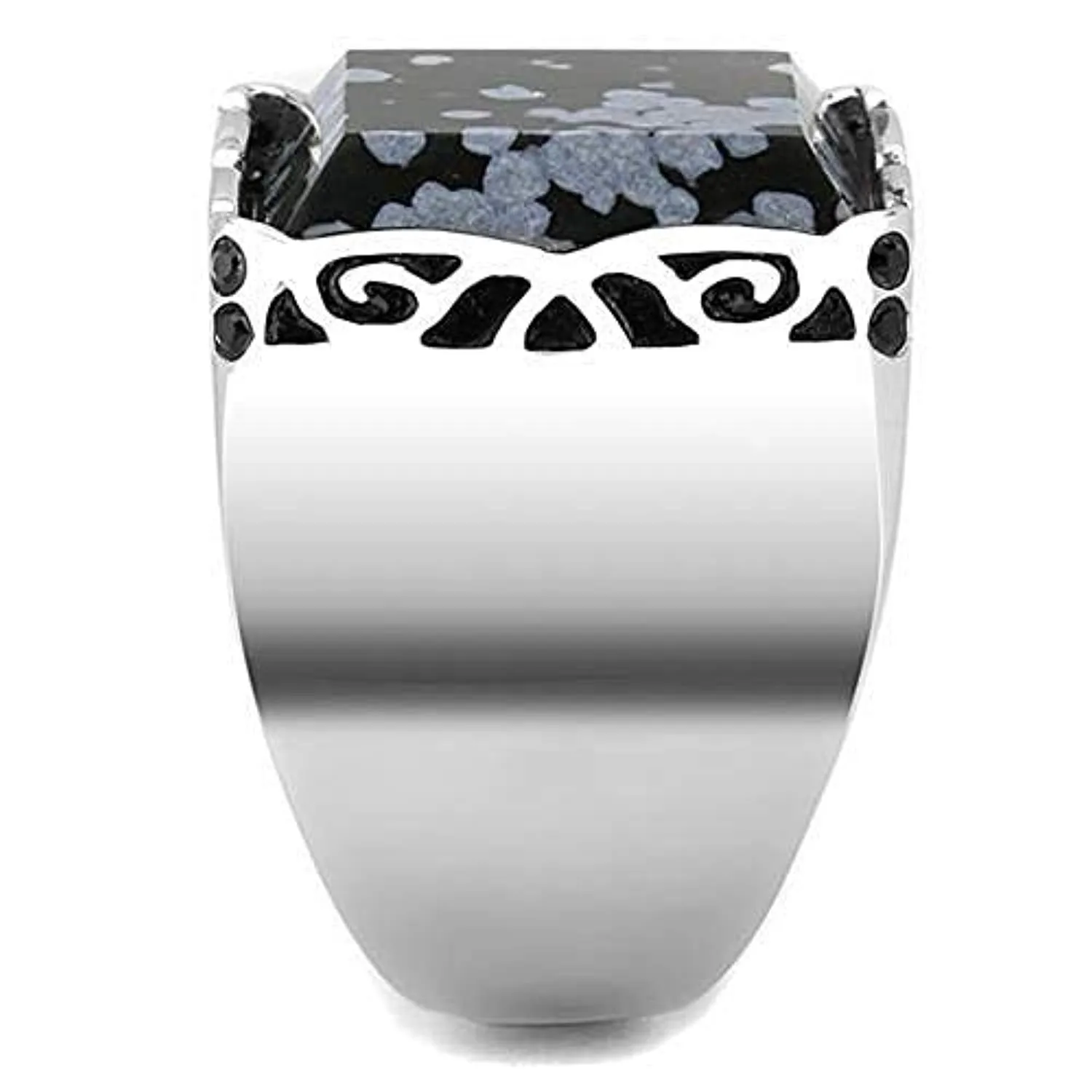 WildKlass Stainless Steel Ring High Polished Men Semi-Precious Jet